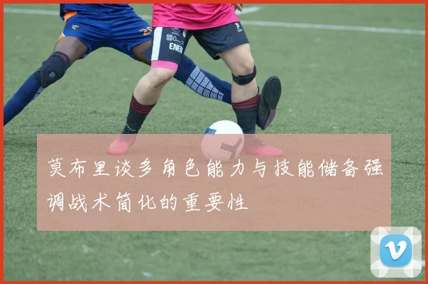 莫布里谈多角色能力与技能储备强调战术简化的重要性